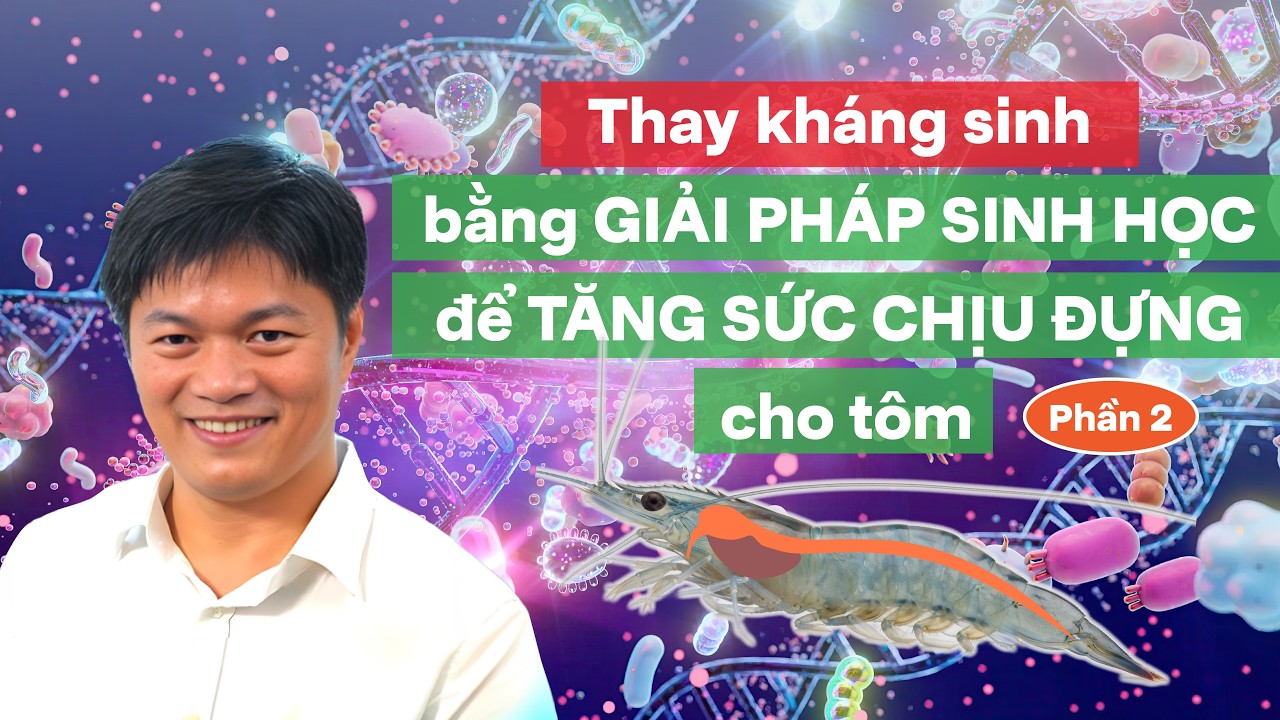 BÍ QUYẾT TĂNG SỨC ĐỀ KHÁNG & ĐIỀU HÒA MIỄN DỊCH CHO TÔM TRONG MÙA LẠNH
