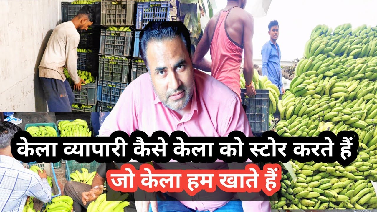 केला व्यापारी कैसे कच्चे केले को स्टोर में पकाता है जाने |Banana Trade Secrets Revealed!#fruits#food
