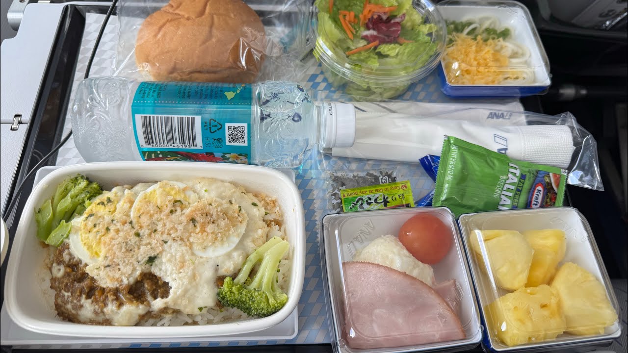ANA  Flight from Honolulu to Tokyo and a Scenic Bus Ride into Shinjuku