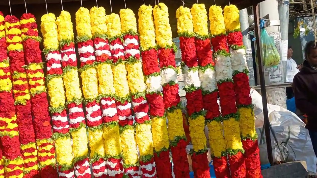 8 March 2026