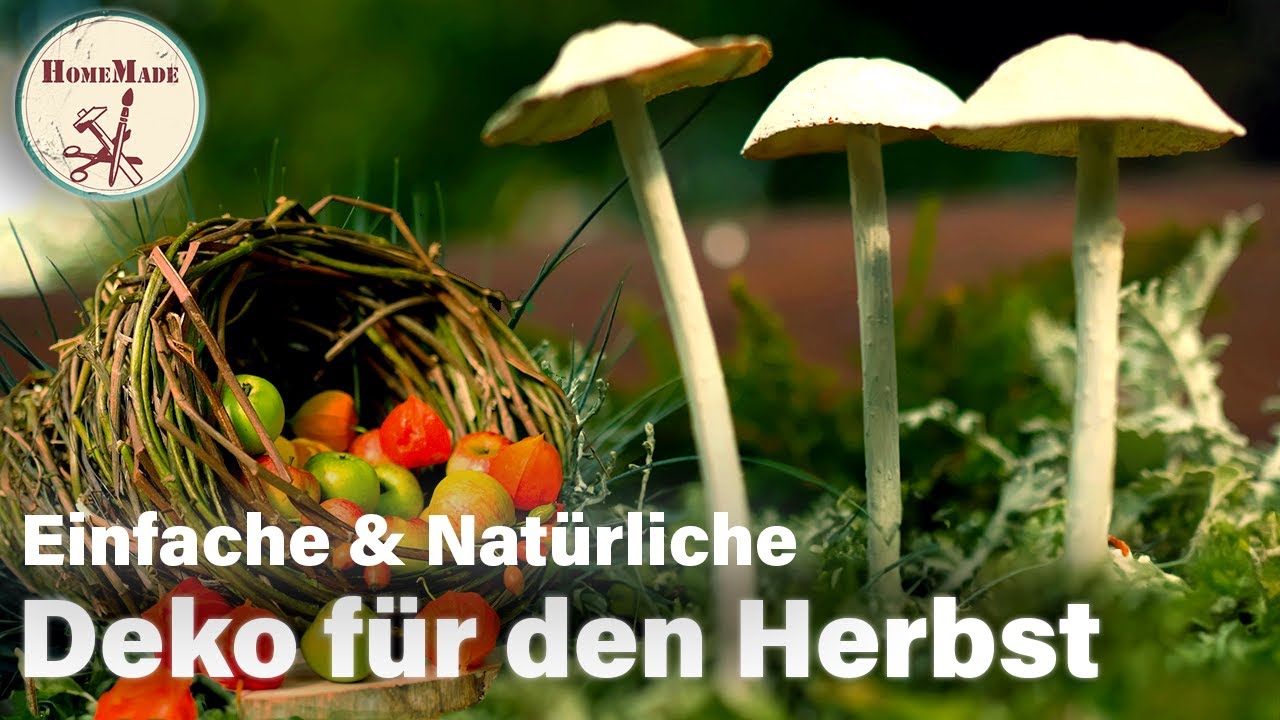 DIY | Einfache & natürliche Herbstdeko zum (fast) Nulltarif | Pilze & Füllhorn selber machen