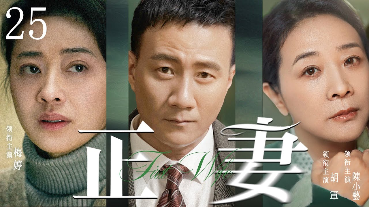 都市情感電視劇【正妻】▶ 25 | 丈夫賭博成性，妻子帶著兒子離婚，住在了同是離婚男胡軍的房子中，兩人心生愛慕，不料前妻和前夫突然出現，舊愛重逢，昔日良緣變孽緣（胡軍、梅婷、陳小藝） 💖中劇放映廳