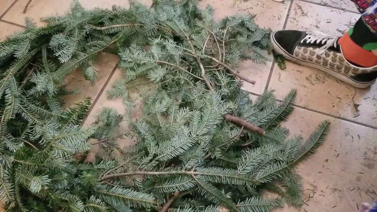 How to make a wreath out of leftover Christmas tree trimmings🎄🎁☃️❄