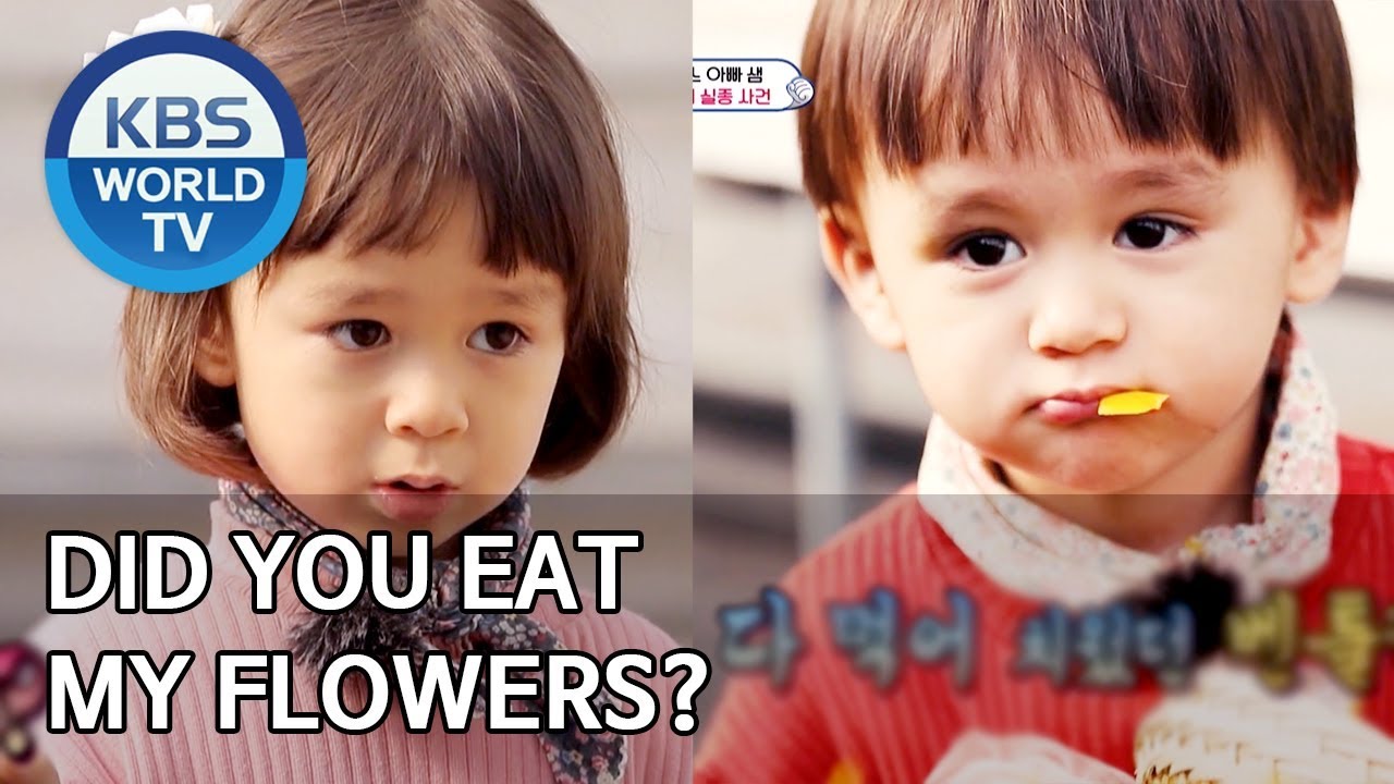 Did you eat my flowers? [The Return of Superman/2020.03.15]