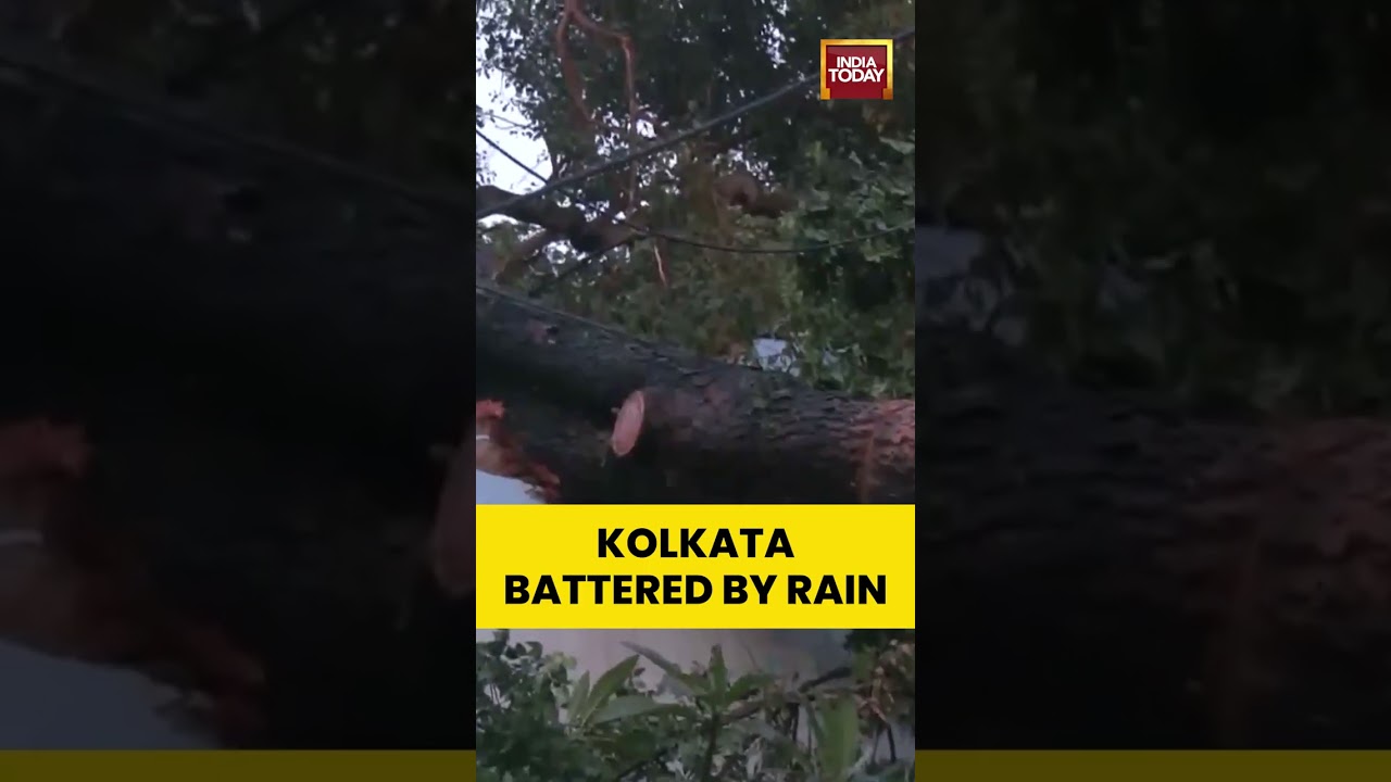 Heavy Rain Causes Roadblocks in Kolkata | West Bengal News | Weather
