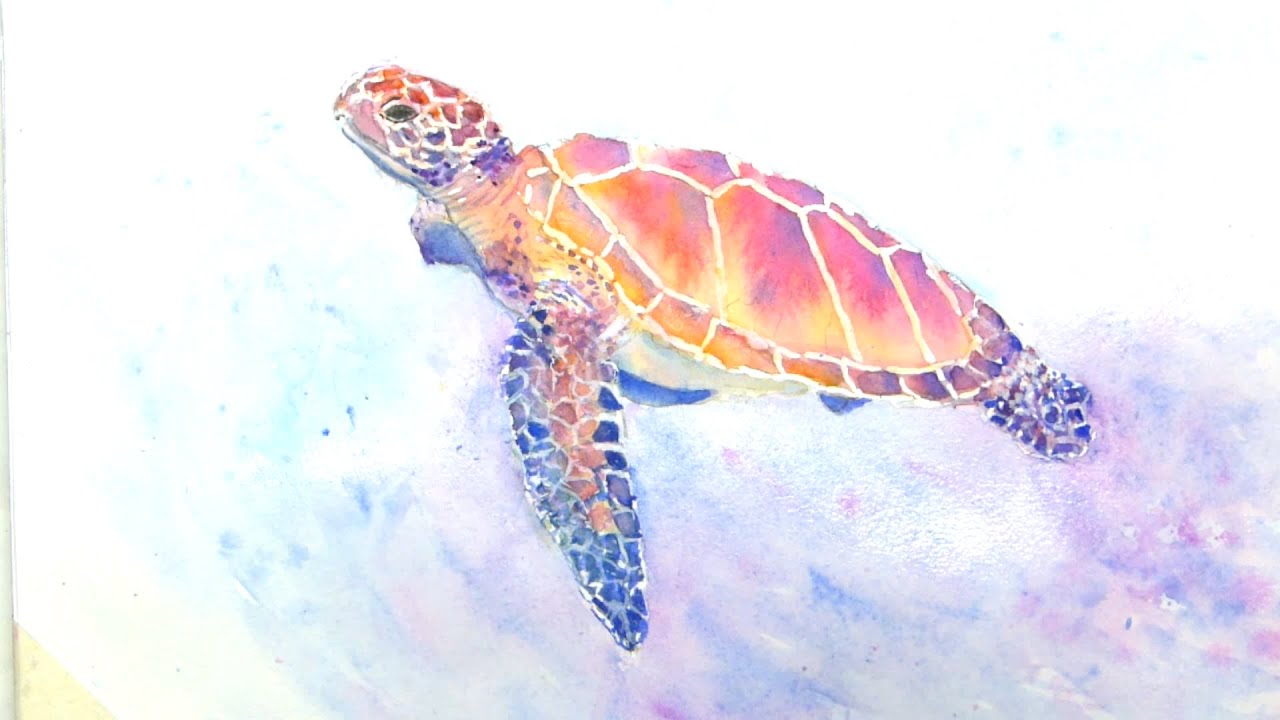 Aquarelle : Mandarine , Tortue de mer