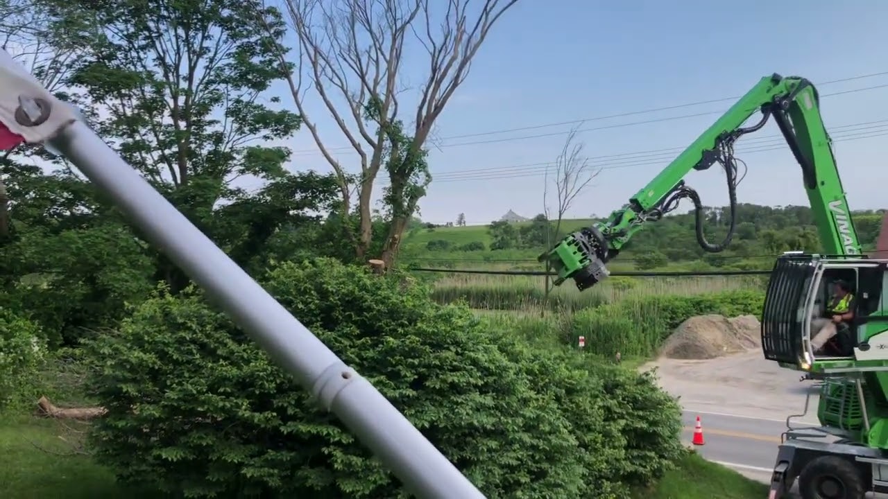 Tree removal with awesome equipment