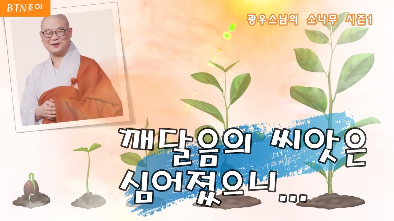4회 믿지 않더라도 이미 깨달음의 씨앗은 심어졌다 그 이후는...ㅣ광우스님의 소나무 시즌1
