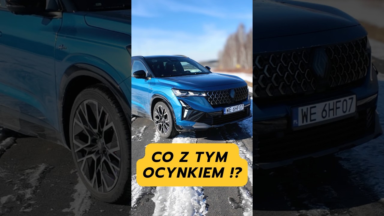 Нет цинка!? #renaultaustral #краска #автомобили #интересныйфакт #тест