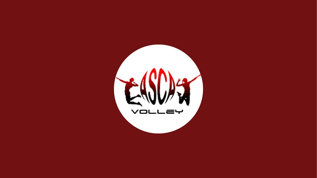 N3 UGS ASCA LE MANS VS CJF VOLLEY 