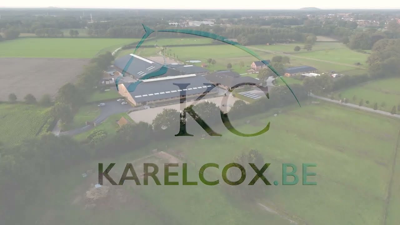 Karel Cox Stables