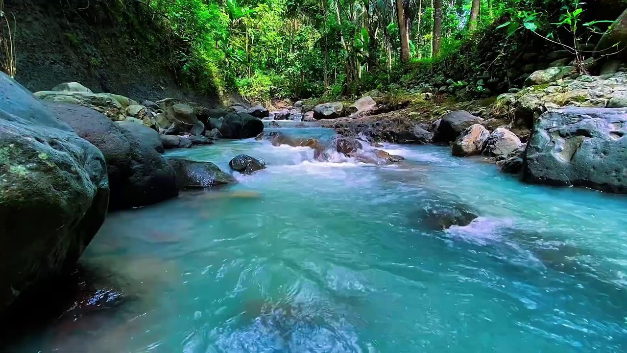 Flowing Mountain Stream Water Audio, Forest River, Sleep