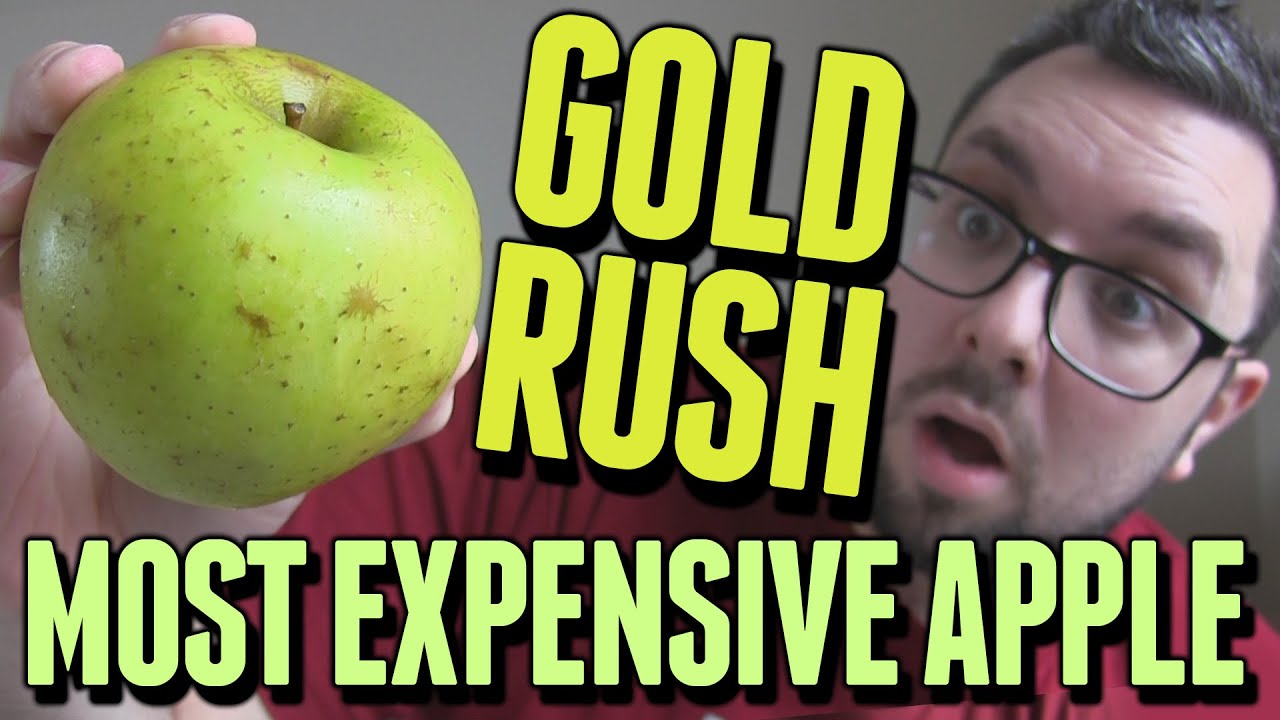 MOST EXPENSIVE APPLE EVER (Gold Rush Review)