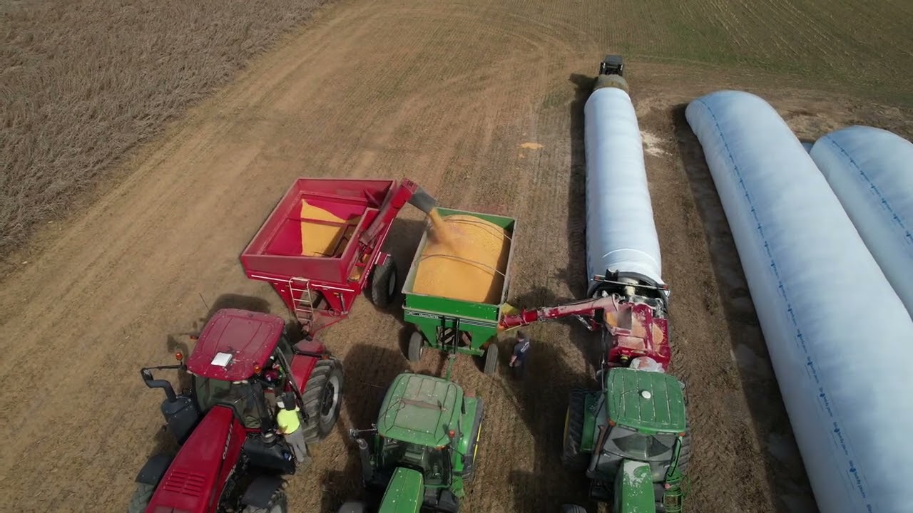 Grinding and Bagging High Moisture corn ￼#agriculture #harvest