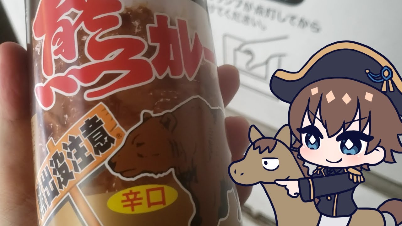 秋葉原探索！平和なおさんぽのはずが涙の展開！？例の怪文書自販機に熊カレーに武器にラーメン！