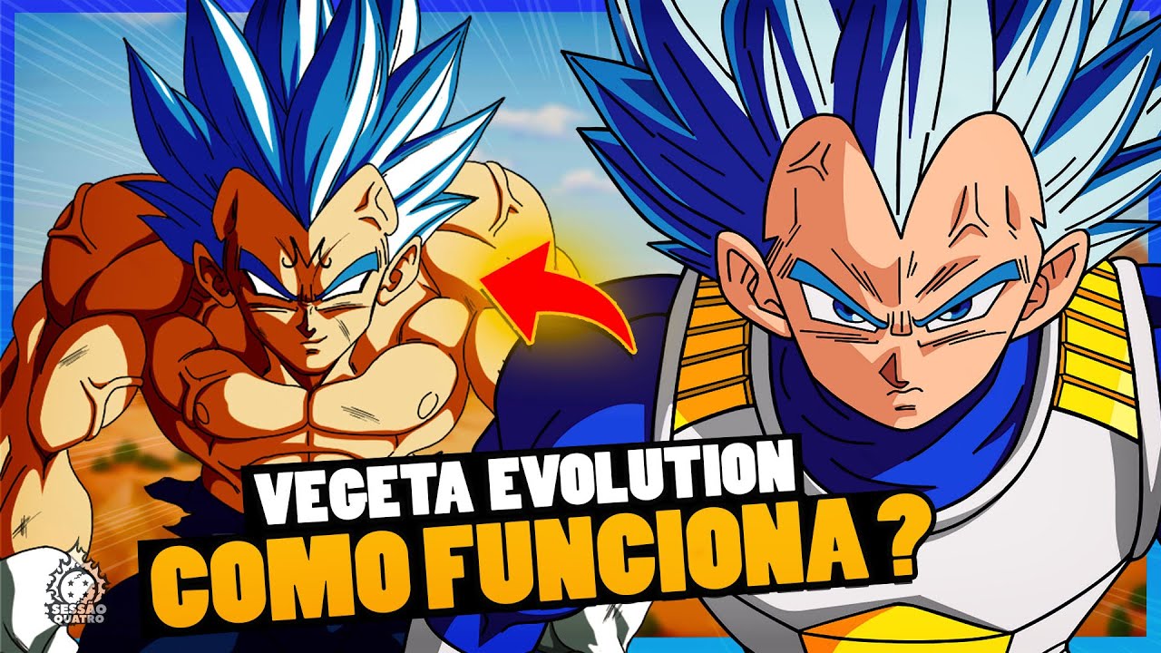 COMO FUNCIONA O SUPER SAIYAJIN EVOLUTION ? | *você entendeu errado*