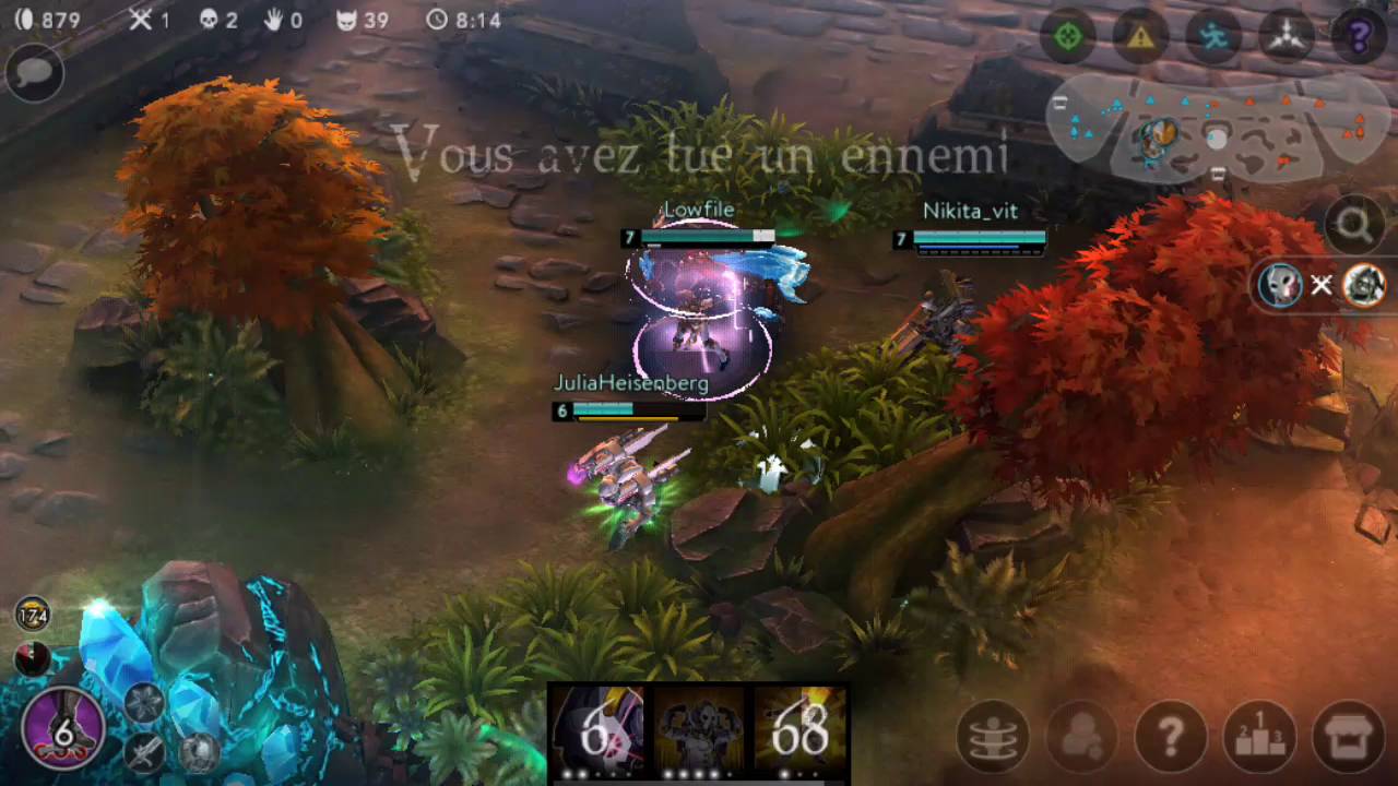 HOW TO CARRY WITH ALPHA WP ?
