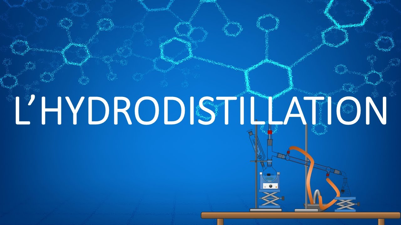 [Animation Chimie] - L'hydrodistillation pour tout savoir (ou presque 😉) ... c'est ici ! 😇