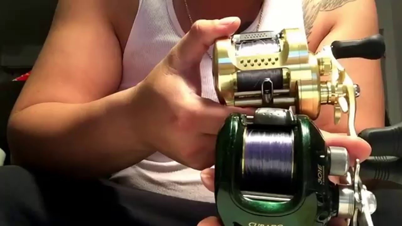 2015 Calcutta conquest 401 compared to the curado 301