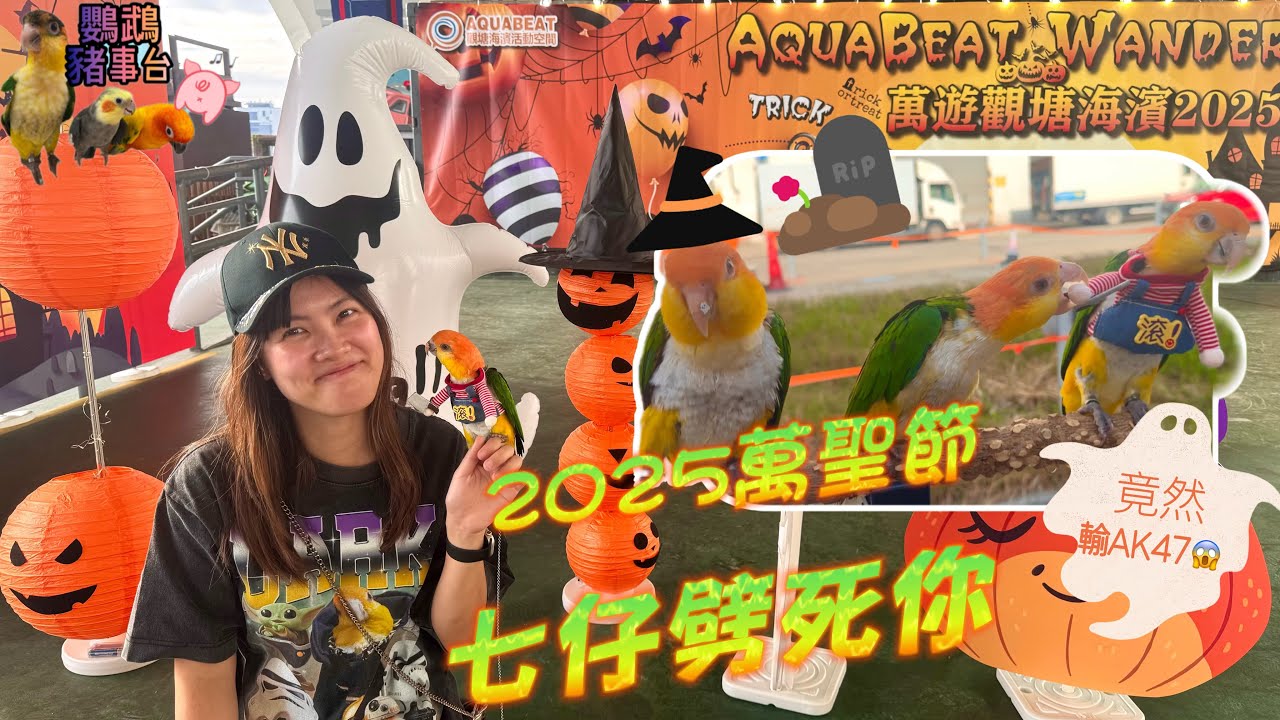 《鸚鵡豬事台》金頭凱克七仔拎刀劈死你🔪萬聖節🎃happy❤️竟然輸咗俾AK 47😂