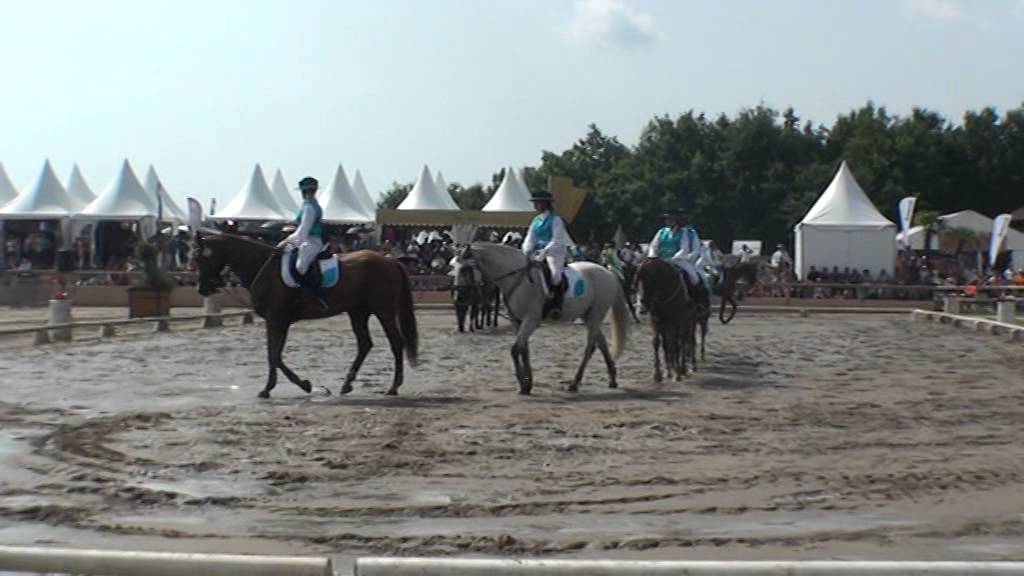 Lamotte 2014 carrousel HORSE S SHOW
