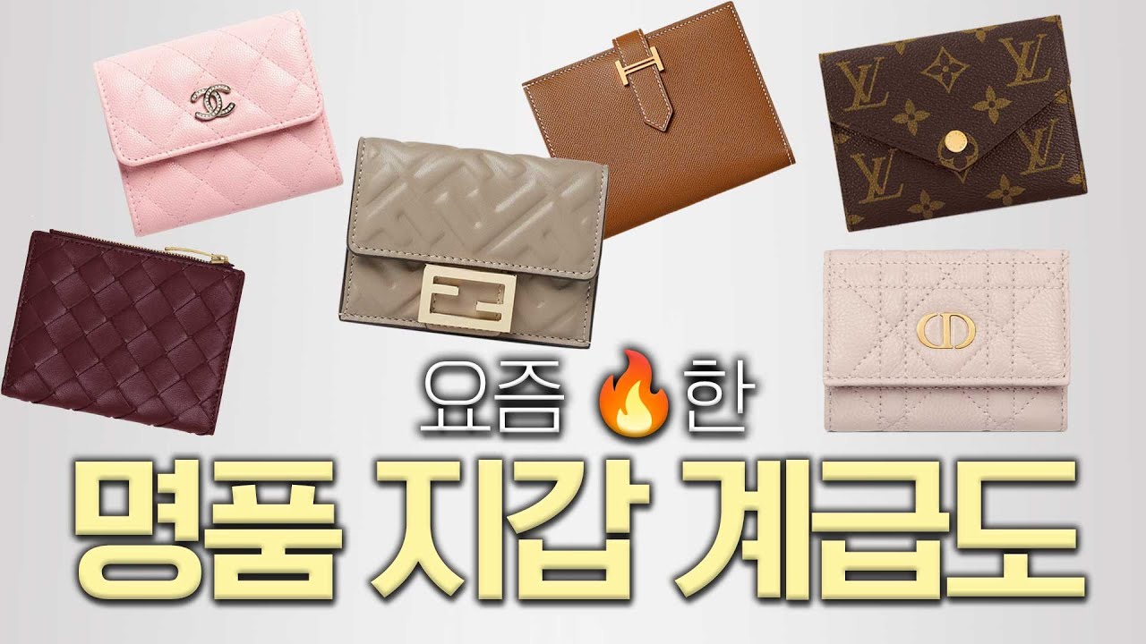 요즘 🔥한 명품 지갑 계급도 | 꼭대기를 차지한 브랜드는?!