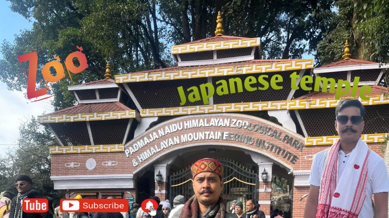 Darjeeling view point  #zoo #Japanese #Tempal #explore #trip #darjeeling_tour #trip #2026 #newyear 