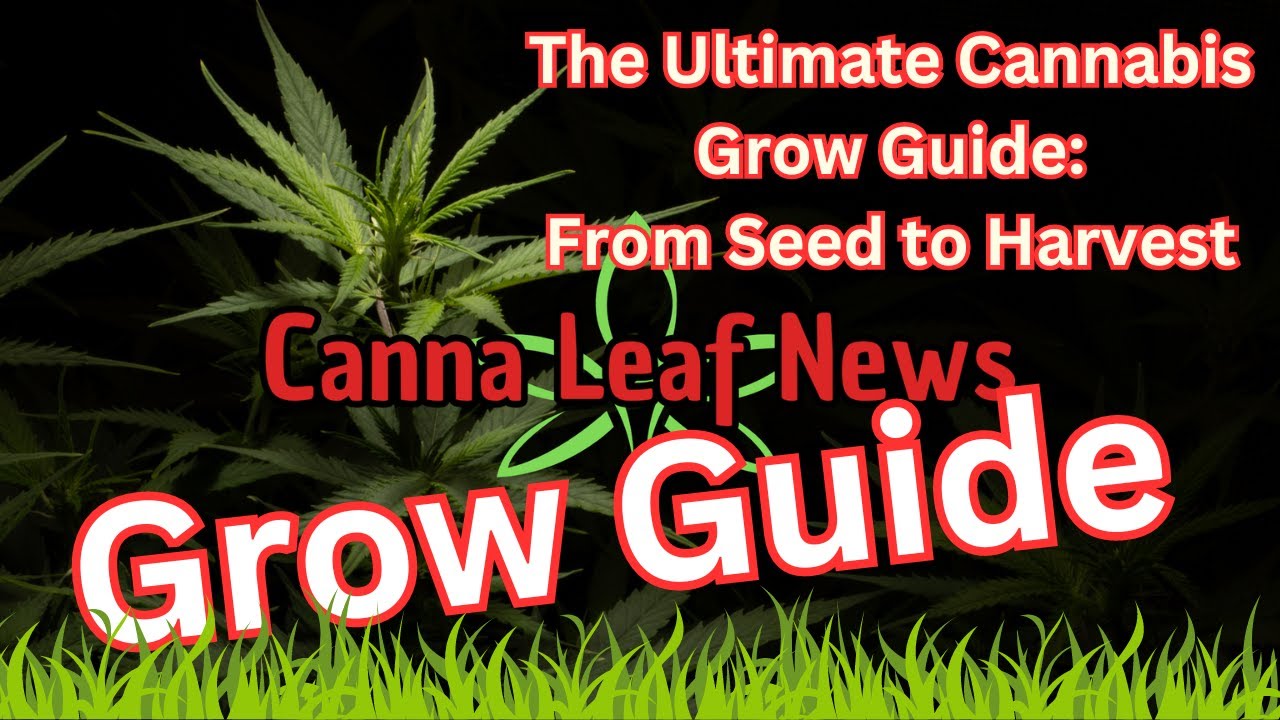 Growing Green: The Definitive Cannabis Cultivation Guide