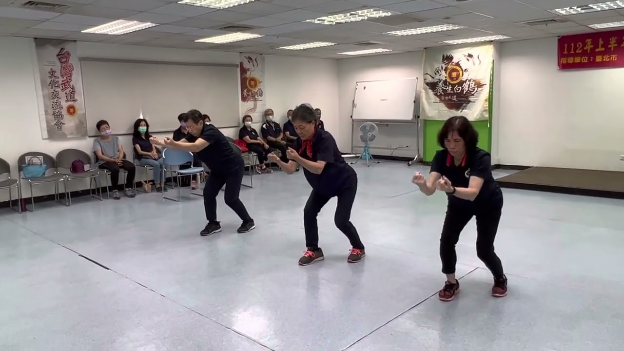 優雅的鶴 養生白鶴氣功 三戰套路 #白鶴拳 ＃kungfu