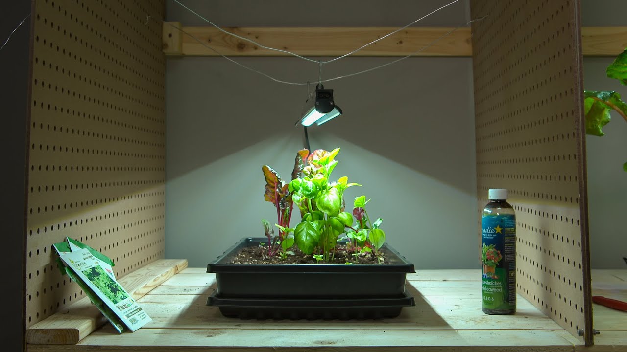 L'épicerie | Les jardins intérieurs au banc d’essai