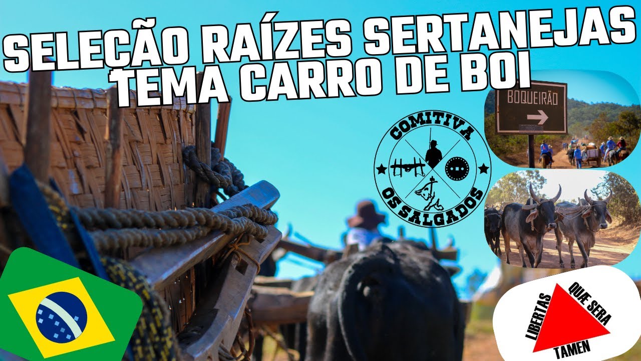 MÚSICAS CARROS DE BOIS Modão e Estrada de Chão VIAGEM A SANTO ANTÔNIO DO BOQUEIRÃO UNAÍ MINAS GERAIS