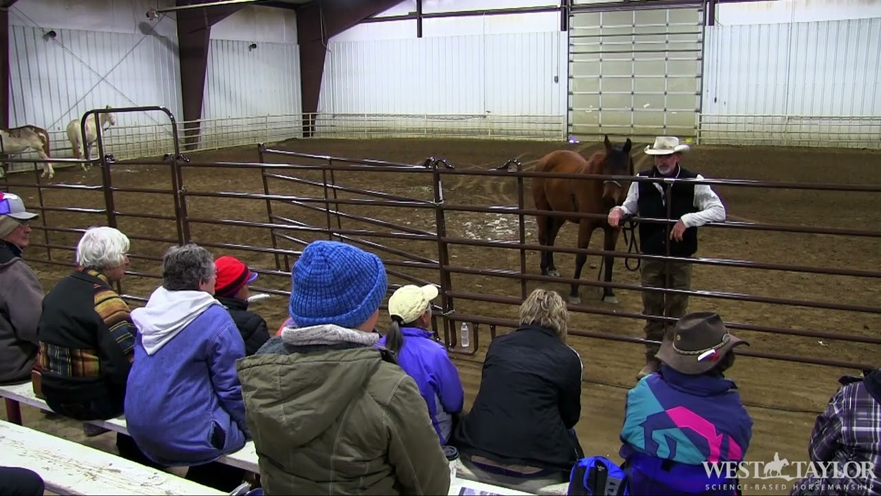 Science-Based Horsemanship in Action: Understanding Your Horse’s Nervous System