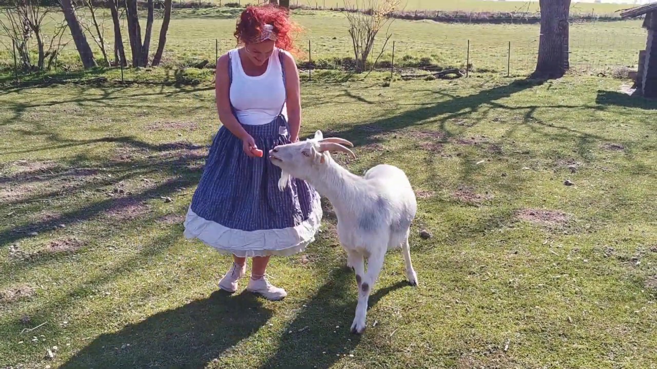 Ewa i Walla - Lillylotta Spring/Summer Collection 2020
