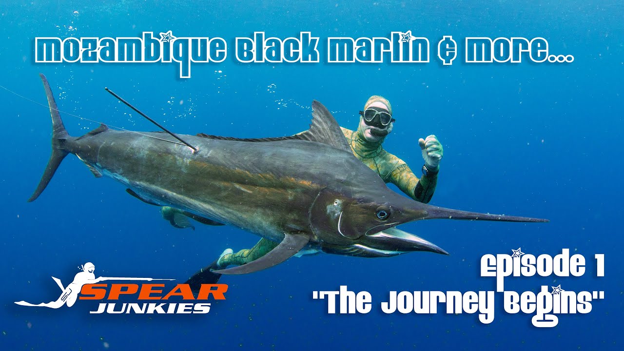 The Journey Begins - Spearfishing Mozambique - Ep1 (4K)