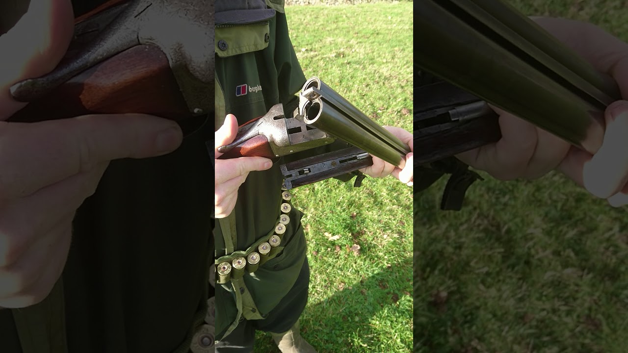 Charles boswell 12 bore sied by sied shotgun antique nitro proof and black powder proof for sale