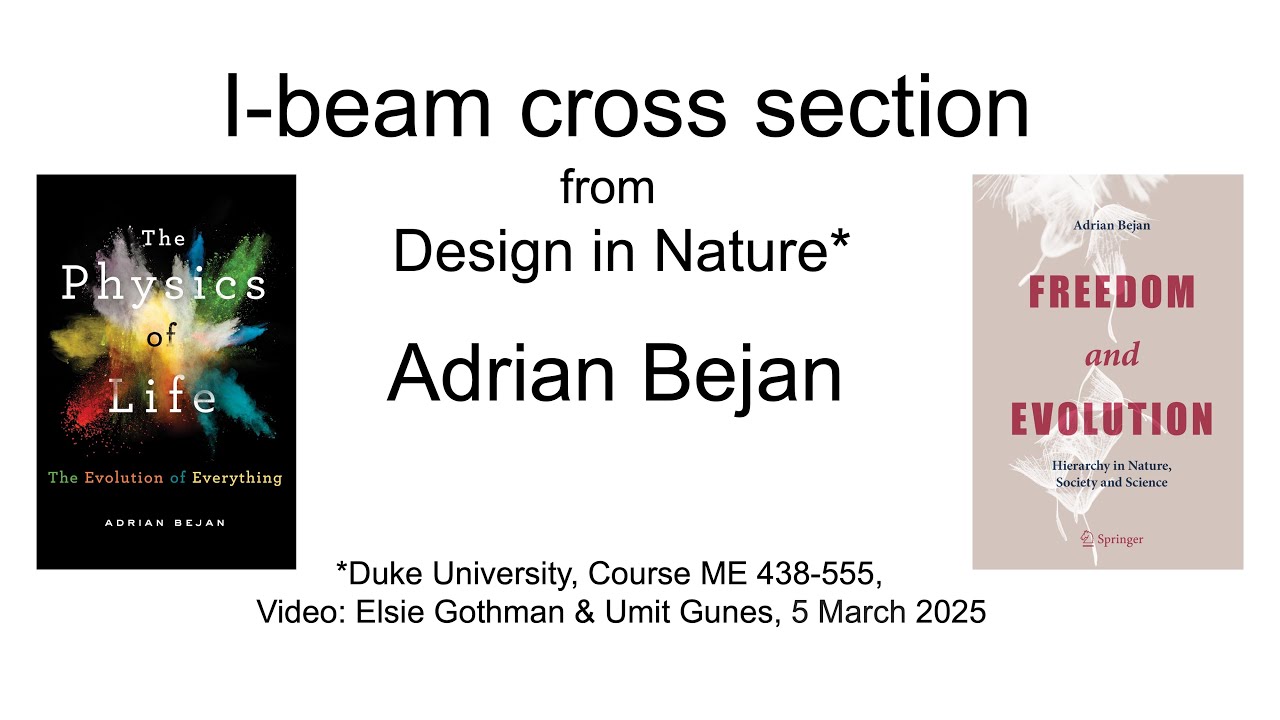 Adrian Bejan | I beam cross section, from Design in Nature