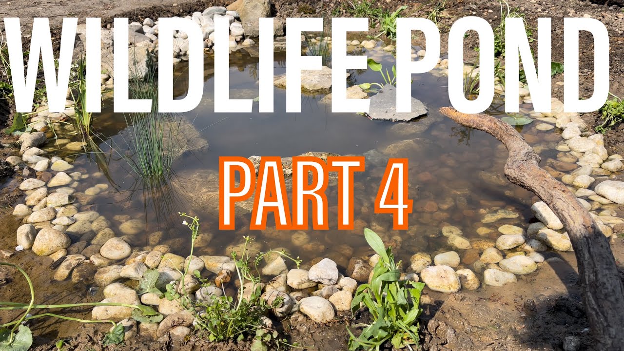 MAKING A WILDLIFE POND: PART 4 - PLANTING UP!