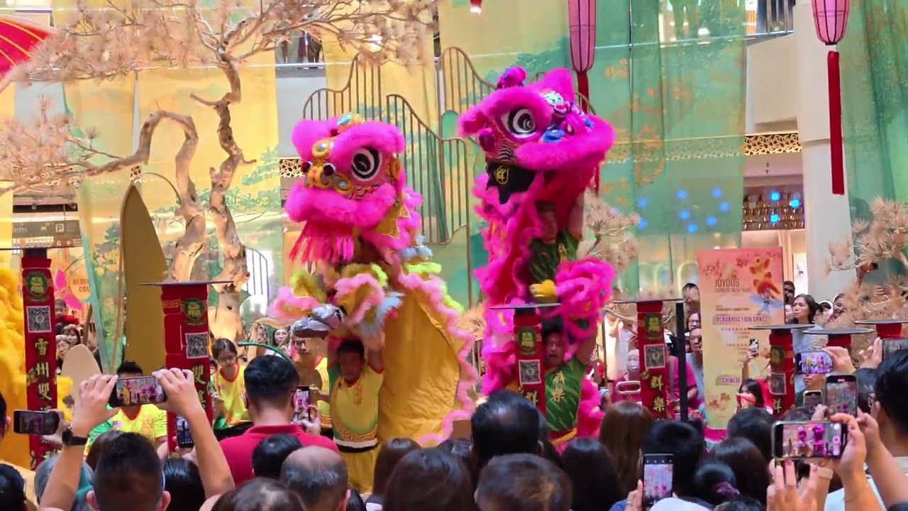Acrobatic Lion Dance (Múa Lân 高桩舞獅) by 群樂 Khuan Loke @ Mid Valley Megamall, Malaysia | CNY2025 0201