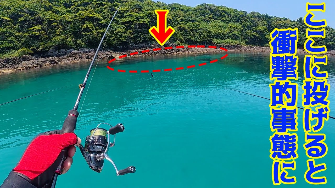 透明度最高の海でありえない光景に興奮しまくる！！