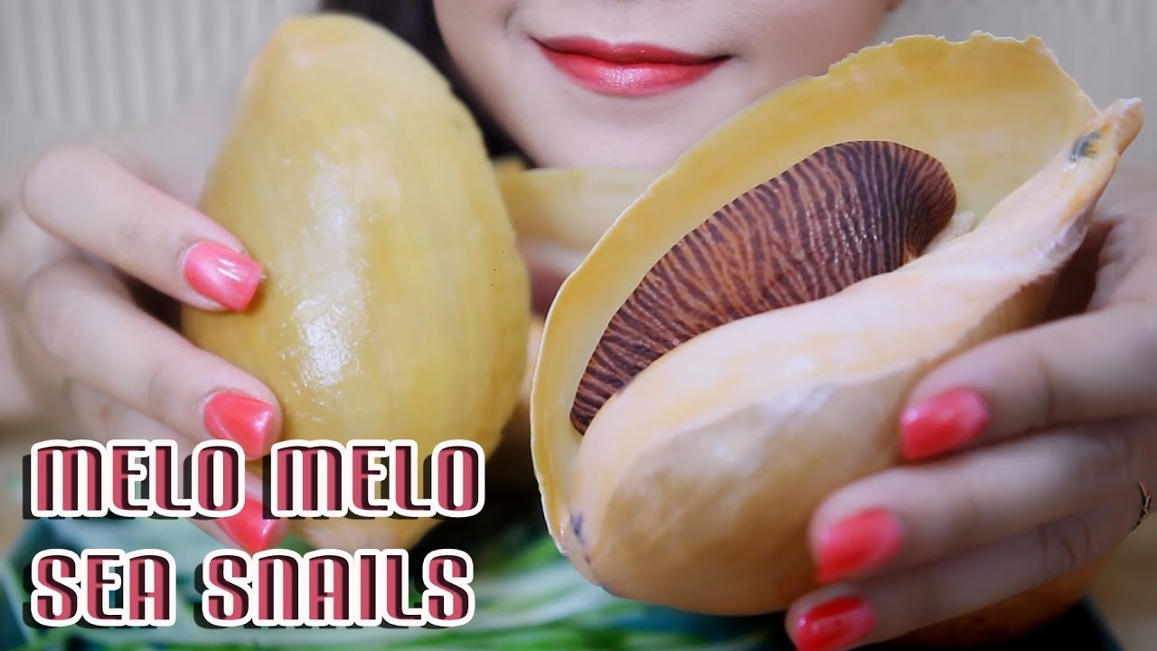 ASMR MELO MELO SEA SNAIL (CHEWY CRUNCHY EATING SOUNDS) | LINH ASMR