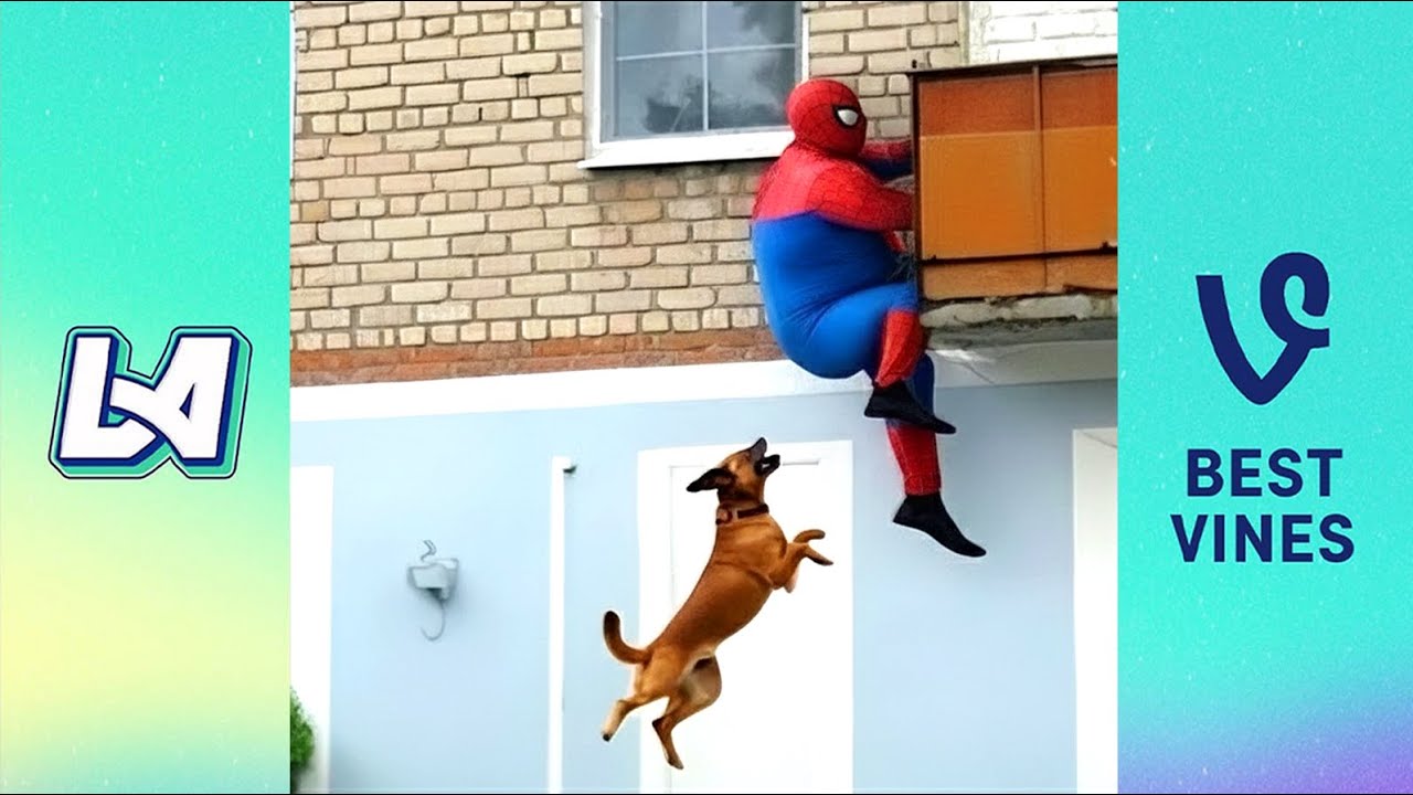 Top 50 Best Funny Videos In 2025 - Craziest Funny Fails