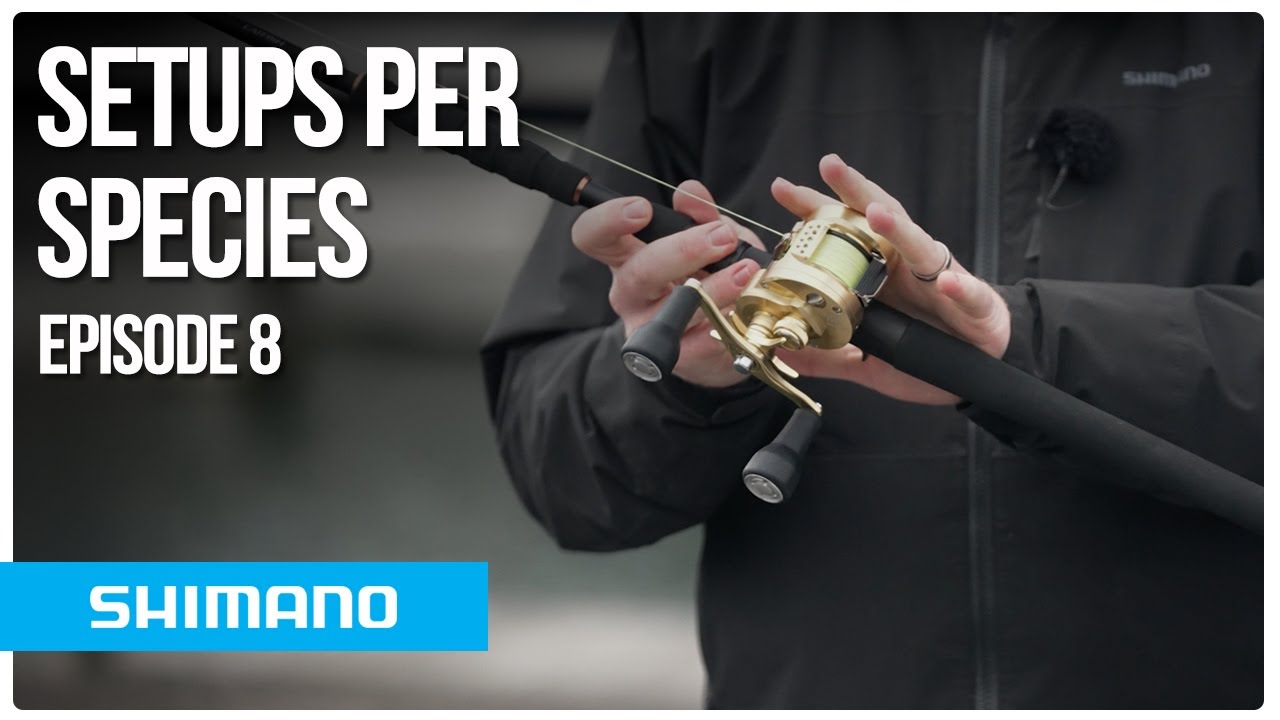 Setups per species | Shimano Baitcasters | Chapter 8