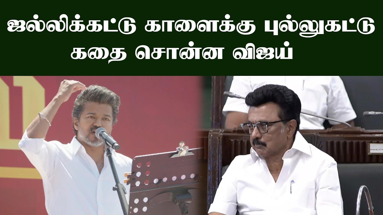 vijay Mass speech politcal camping | ஜல்லிக்கட்டு காளைக்கு புல்லுகட்டு கொடுத்த விஜய்