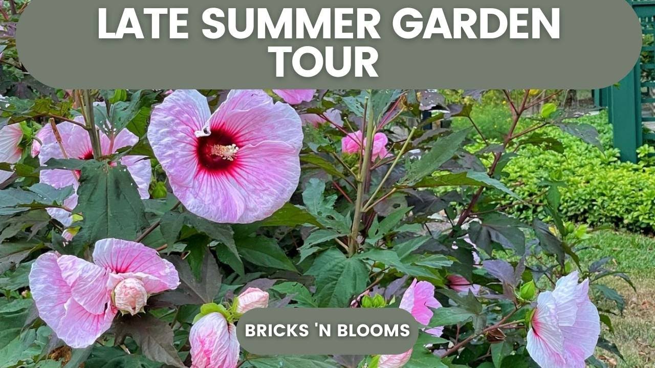 LATE SUMMER GARDEN TOUR IN THE FRONT YARD // Fall Garden Planning // Bricks ’n Blooms