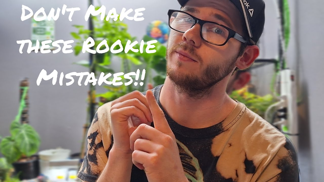 I Wish I Knew These 9 Things Before I Got Into Houseplants!!!
