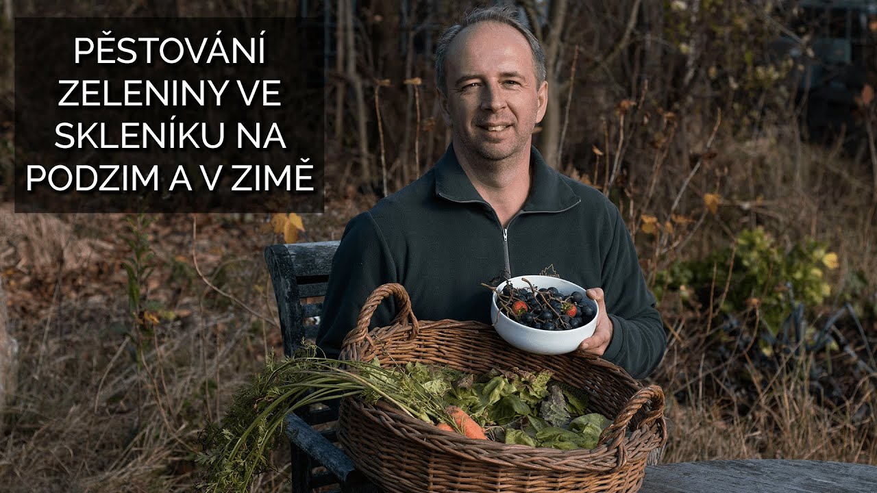 Pěstování zeleniny ve skleníku na podzim a v zimě