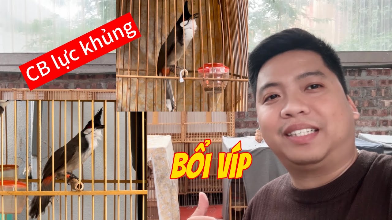 Siêu bổi ché uy lực xoè chạy cầu tốc độ. CB lực trâu chơi trên 2 tiếng ra ché đè gắt