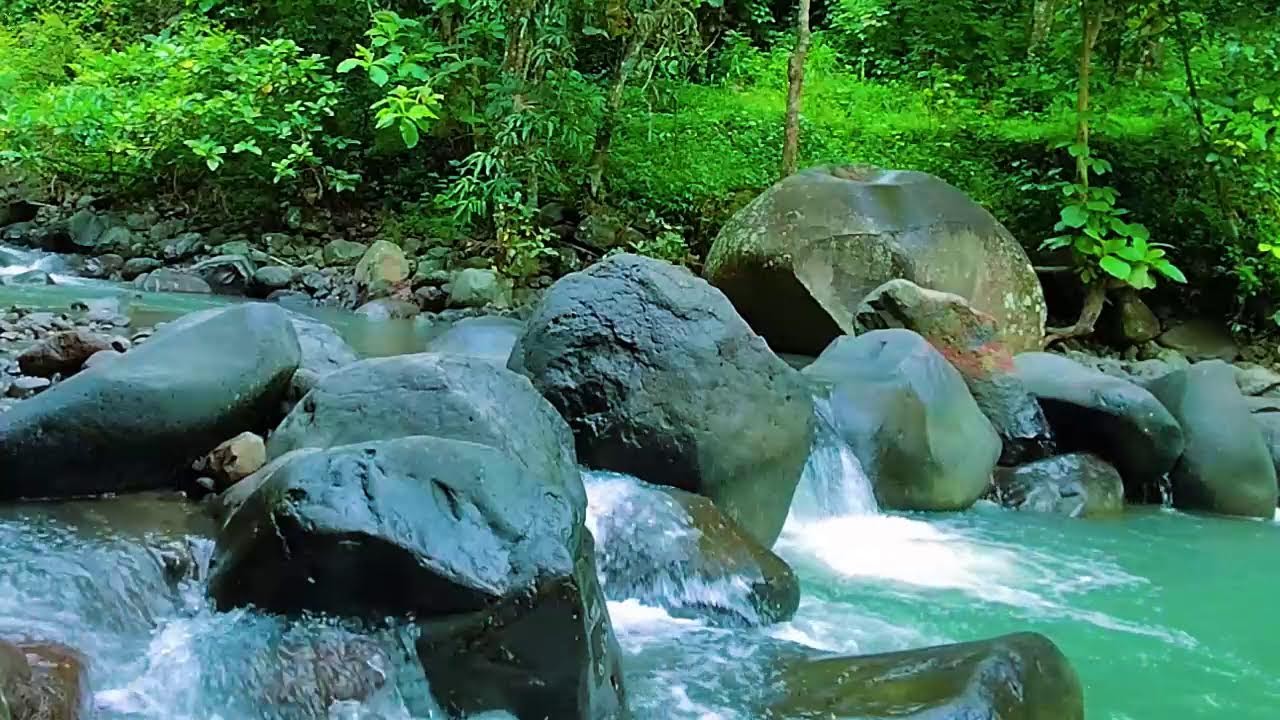 Forest Ambience - Beautiful Stream Sounds for Sleep, Deep Rest, Medicine ASMR