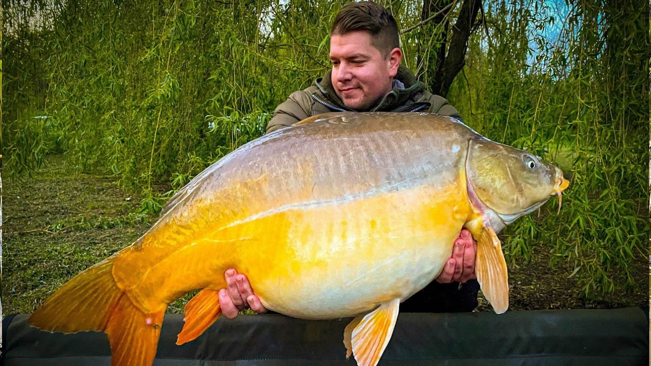Jarní rybaření kaprů na pelety a boilies #rybaření