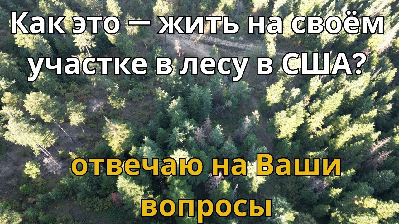Сколько стоит земля и как жить в лесу в США. Отвечаю на ваши вопросы.